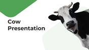 Slide deck with images of cows, covering topics like farming, nutrition, and animal welfare in green accents.