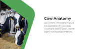 13863-cow-powerpoint-designs-05