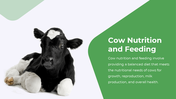 13863-cow-powerpoint-designs-06