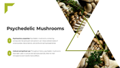 13866-mushroom-powerpoint-template-07