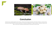 13866-mushroom-powerpoint-template-15