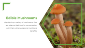 13867-mushroom-powerpoint-presentatio-03