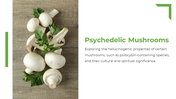 13867-mushroom-powerpoint-presentatio-11