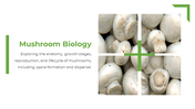 13867-mushroom-powerpoint-presentatio-14