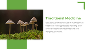 13867-mushroom-powerpoint-presentatio-15