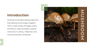 13868-mushroom-powerpoint-designs-02