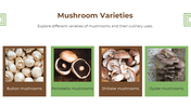 13868-mushroom-powerpoint-designs-03