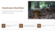 13868-mushroom-powerpoint-designs-05