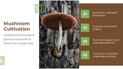 13868-mushroom-powerpoint-designs-06