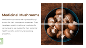 13868-mushroom-powerpoint-designs-08