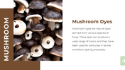 13868-mushroom-powerpoint-designs-09