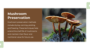 13868-mushroom-powerpoint-designs-10