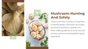 13868-mushroom-powerpoint-designs-11