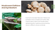 13868-mushroom-powerpoint-designs-13