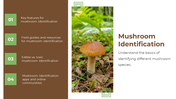 13868-mushroom-powerpoint-designs-14