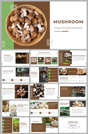 Slide deck with images of mushrooms, and various sections on uses, varieties, and benefits on a earthy brown and green tones.