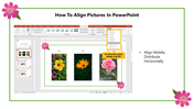 14-how-to-align-pictures-in-powerpoint