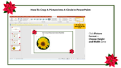 14-how-to-crop-a-picture-into-a-circle-in-powerpoint