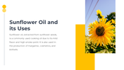 14049-sunflower-powerpoint-templates-09