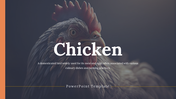 14157-free-chicken-powerpoint-presentation-template-01