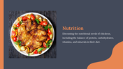 14157-free-chicken-powerpoint-presentation-template-03