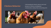 14157-free-chicken-powerpoint-presentation-template-06