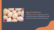 14157-free-chicken-powerpoint-presentation-template-08