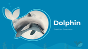 14301-dolphin-powerpoint-presentation-01