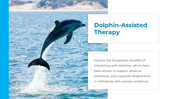 14301-dolphin-powerpoint-presentation-12