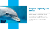 14301-dolphin-powerpoint-presentation-14