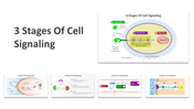 14647-3-stages-of-cell-signaling-01