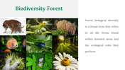 200055-international-day-of-forests-18