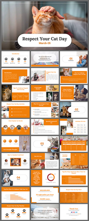 Respect your cat day slide deck featuring orange accents with images, and sections on care and activities.