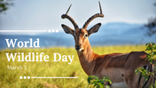 World Wildlife Day PowerPoint And Google Slides Templates