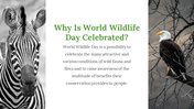 200069-world-wildlife-day-07