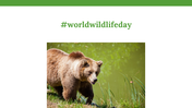 200069-world-wildlife-day-29