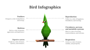 200077-bird-infographics-03