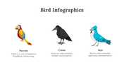 200077-bird-infographics-04