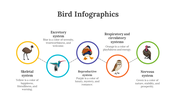 200077-bird-infographics-07