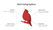 200077-bird-infographics-12