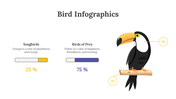 200077-bird-infographics-13