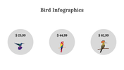 200077-bird-infographics-15