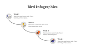 200077-bird-infographics-16