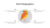 200077-bird-infographics-20