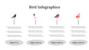 200077-bird-infographics-21