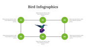 200077-bird-infographics-22