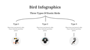 200077-bird-infographics-23