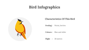 200077-bird-infographics-24