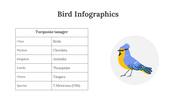 200077-bird-infographics-25