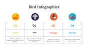 200077-bird-infographics-27